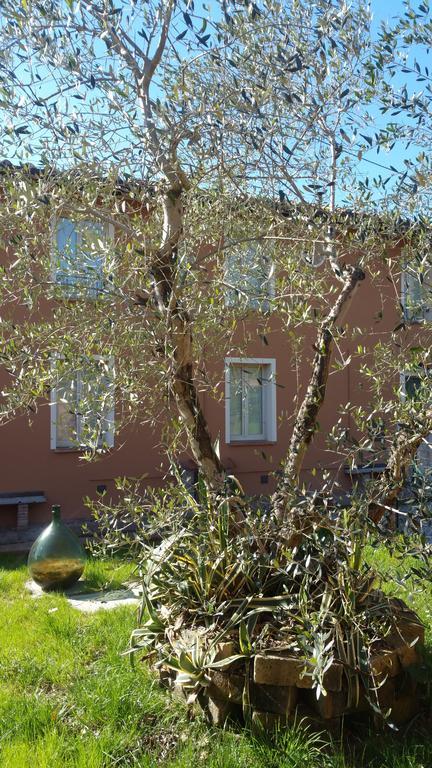 Вилла Ulivo Della Querce Querce  Экстерьер фото